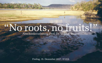 «No roots, no fruits!»