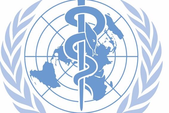 The World Health Organization at the crossroads