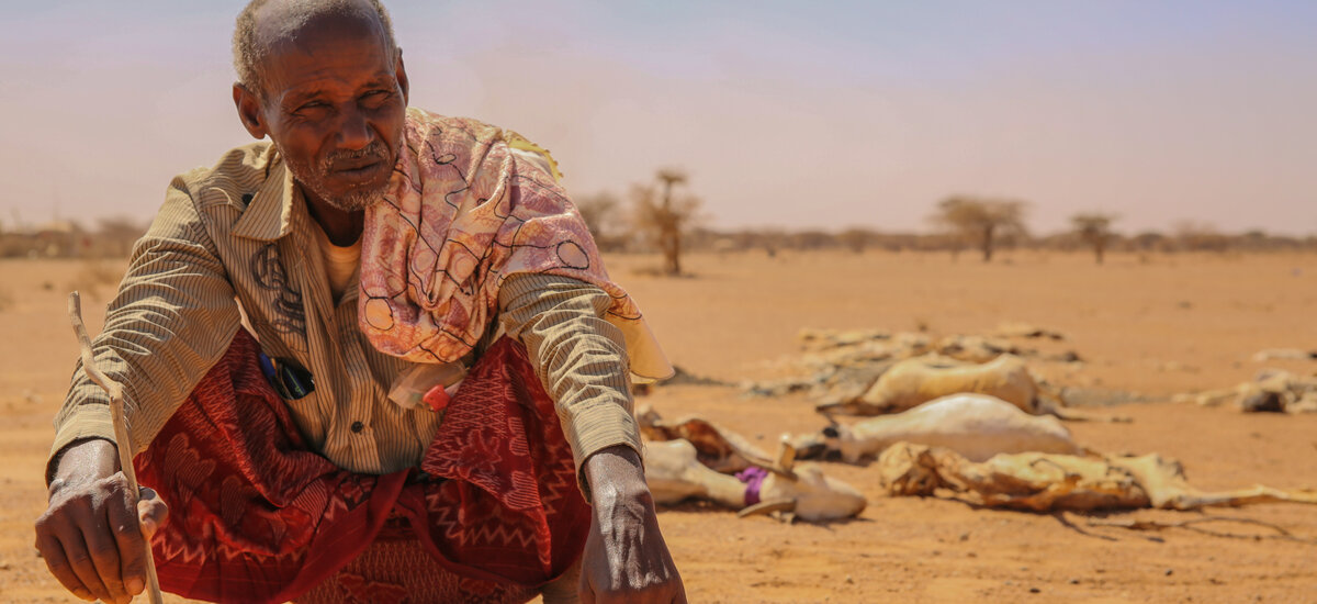Es droht die grösste Hungersnot überhaupt - Alleine in Somalia hungern rund 12 Millionen Menschen