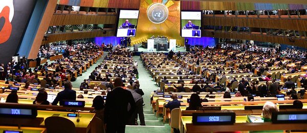 #UNGA78: Was sufficient action taken to prioritise digital health?’