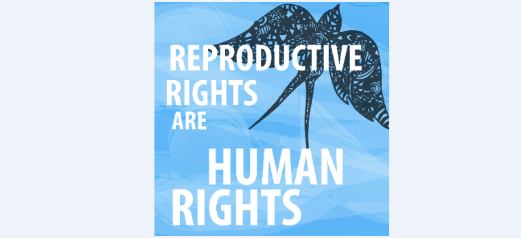 SRHR Meeting point on „Human rights based approaches to Sexual and Reproductive Health“