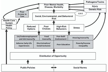 Figure 1 - Compton 2015 – Conception of social determinants of mental health