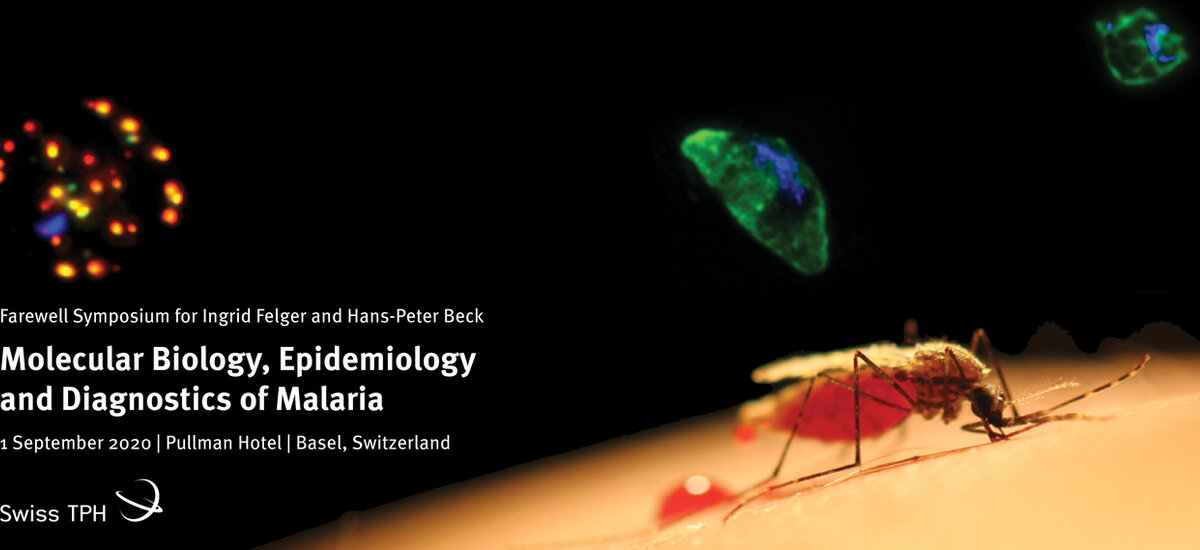 Molecular Biology, Epidemiology and Diagnostics of Malaria