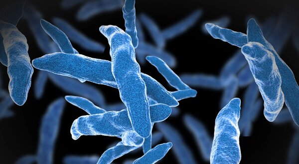 The Tuberculosis Pandemic – A Call to Action