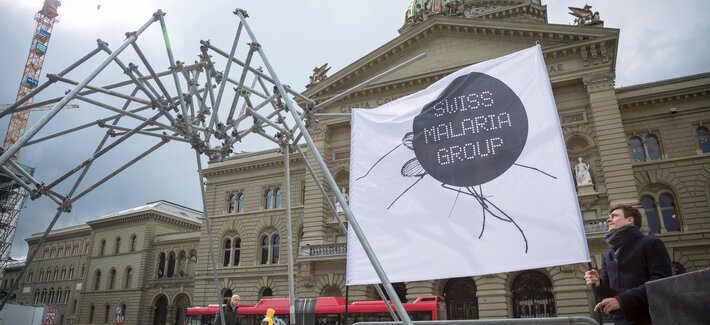 Riesen-Mücke landet auf dem Bundesplatz