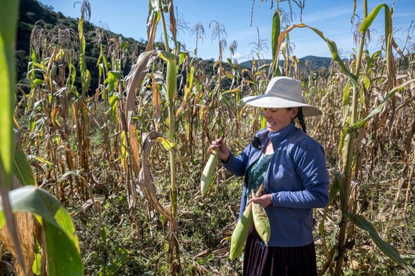 Bolivien: ausgewogenes Essen auf 2020 Metern Höhe