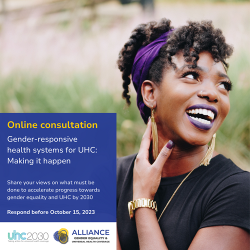 How can we build gender-responsive health systems? Participate in the online consultation