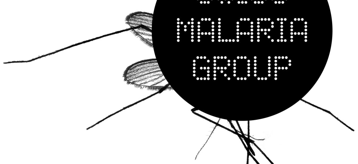 Internship Coordination and Communication Swiss Malaria Group, 50%