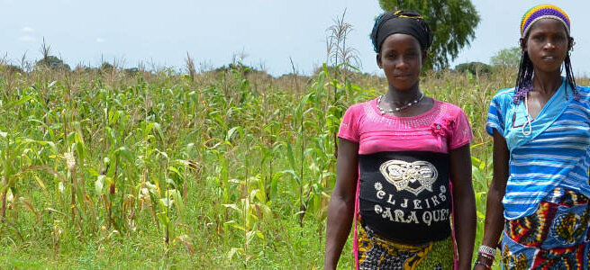 Sauver la vie des mères et de leur bébé au Burkina Faso