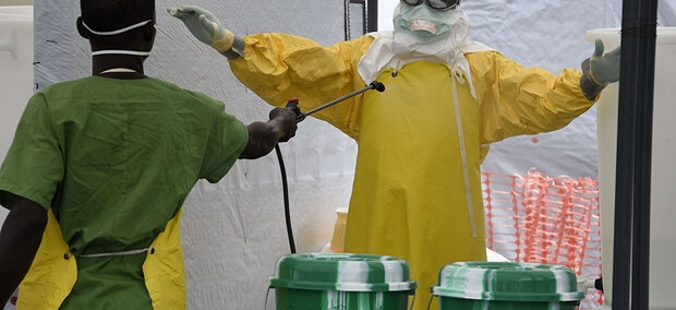 WHO incapable of reacting to crises such as Ebola, says report