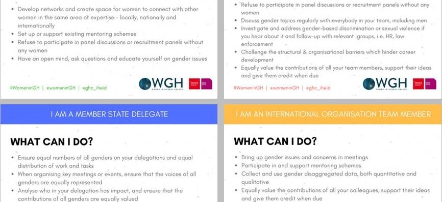 Pocket Guide to Gender Mainstreaming