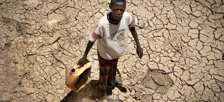 Crise alimentaire en Afrique