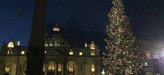 Le sapin de Noël du Vatican est dédié au Caritas Baby Hospital